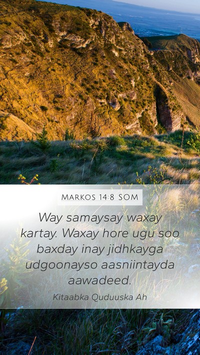 Markos 14:8 SOM Bible Verse Image