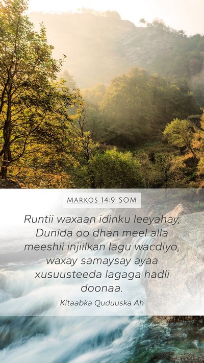 Markos 14:9 SOM Bible Verse Image