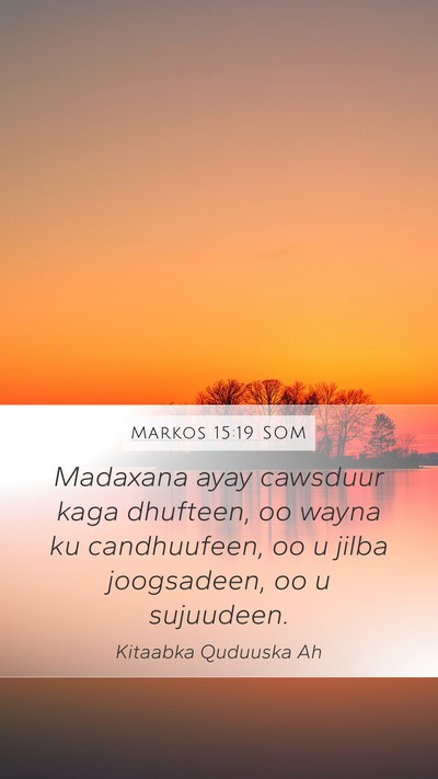 Markos 15:19 SOM Bible Verse Image
