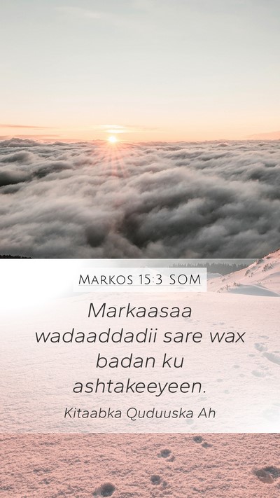 Markos 15:3 SOM Bible Verse Image