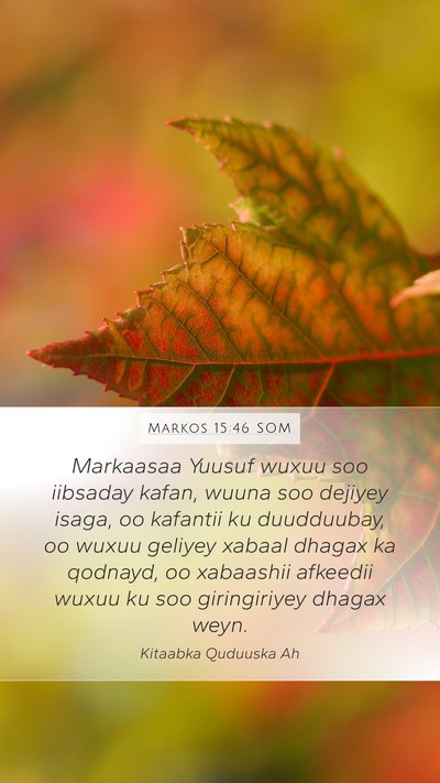 Markos 15:46 SOM Bible Verse Image