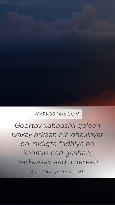 Markos 16:5 SOM Bible Verse Image