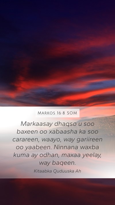 Markos 16:8 SOM Bible Verse Image