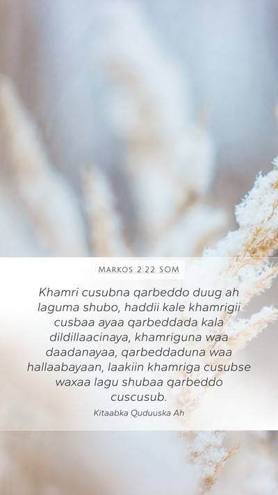 Markos 2:22 SOM Bible Verse Image