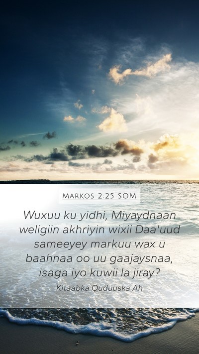 Markos 2:25 SOM Bible Verse Image