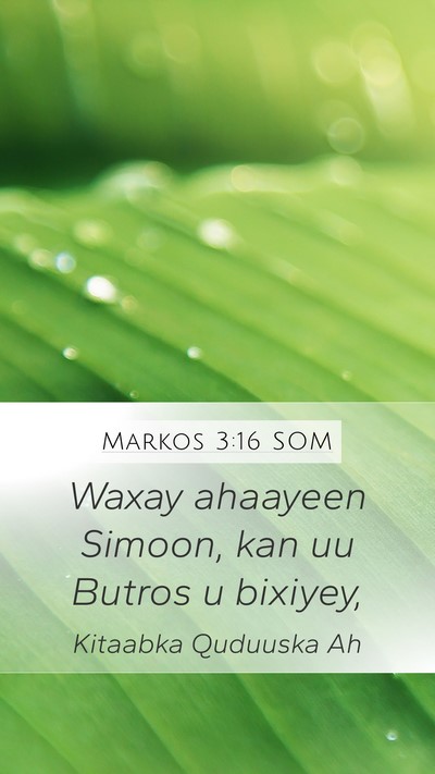 Markos 3:16 SOM Bible Verse Image