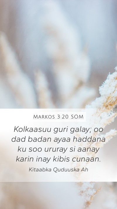 Markos 3:20 SOM Bible Verse Image