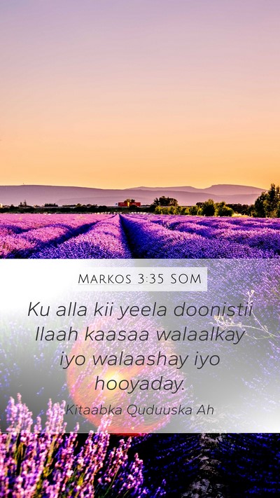 Markos 3:35 SOM Bible Verse Image