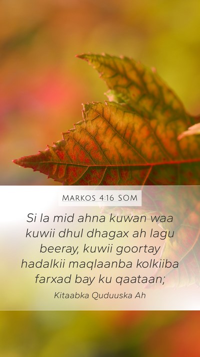 Markos 4:16 SOM Bible Verse Image