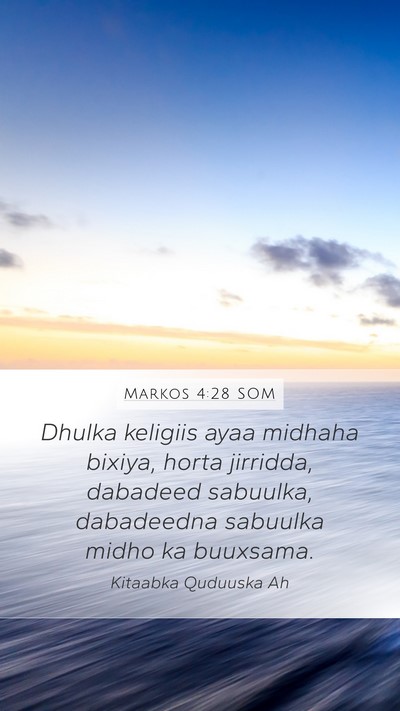 Markos 4:28 SOM Bible Verse Image