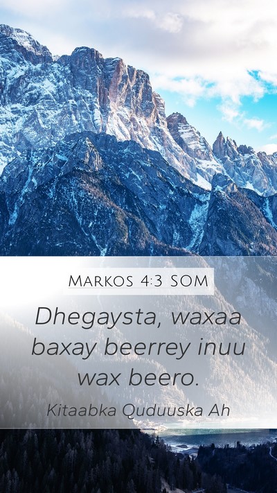 Markos 4:3 SOM Mobile Phone Wallpaper - Dhegaysta, waxaa baxay beerrey inuu wax - Mobile Bible Verse Wallpaper