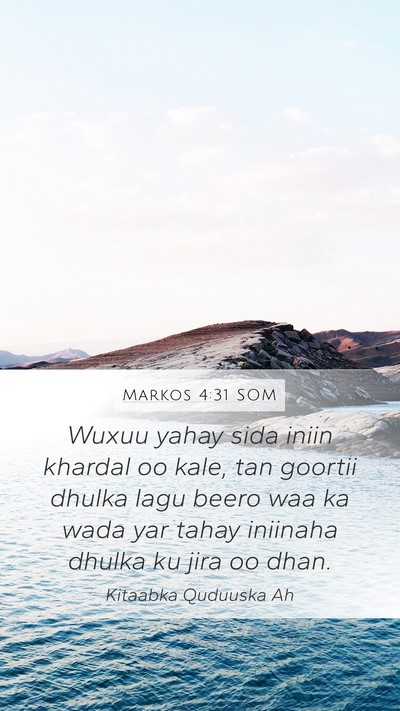 Markos 4:31 SOM Bible Verse Image