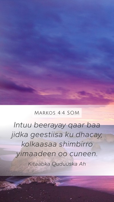 Markos 4:4 SOM Mobile Phone Wallpaper - Intuu beerayay qaar baa jidka geestiisa ku - Mobile Bible Verse Wallpaper