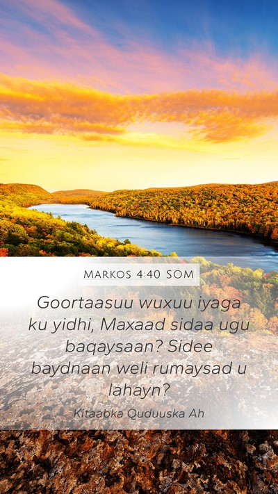 Markos 4:40 SOM Bible Verse Image