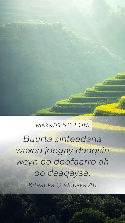 Markos 5:11 SOM Bible Verse Image