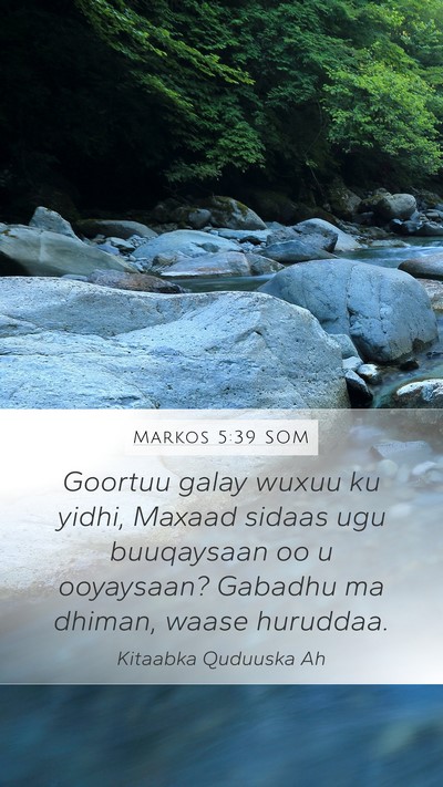 Markos 5:39 SOM Mobile Phone Wallpaper - Goortuu galay wuxuu ku yidhi, Maxaad sidaas ugu - Mobile Bible Verse Wallpaper