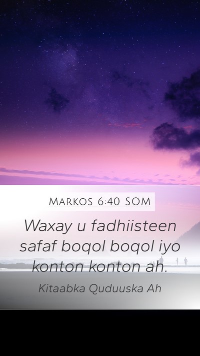 Markos 6:40 SOM Mobile Phone Wallpaper - Waxay u fadhiisteen safaf boqol boqol iyo konton - Mobile Bible Verse Wallpaper