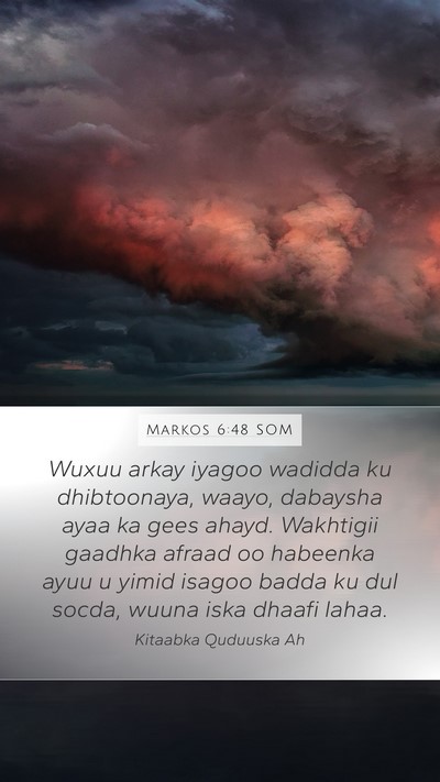 Markos 6:48 SOM Bible Verse Image