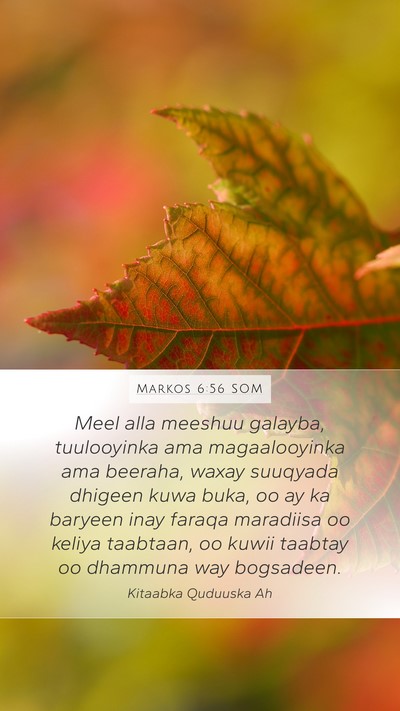 Markos 6:56 SOM Bible Verse Image
