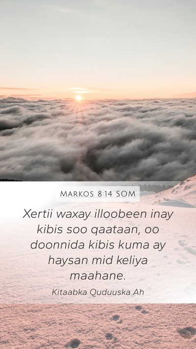 Markos 8:14 SOM Mobile Phone Wallpaper - Xertii waxay illoobeen inay kibis soo qaataan, oo - Mobile Bible Verse Wallpaper
