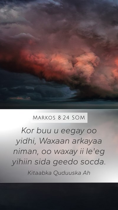 Markos 8:24 SOM Bible Verse Image