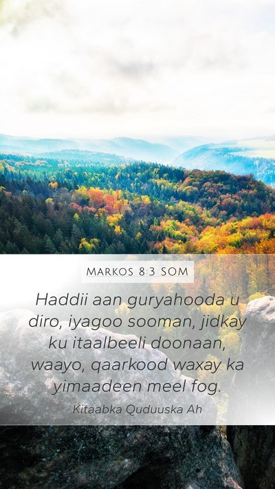 Markos 8:3 SOM Bible Verse Image