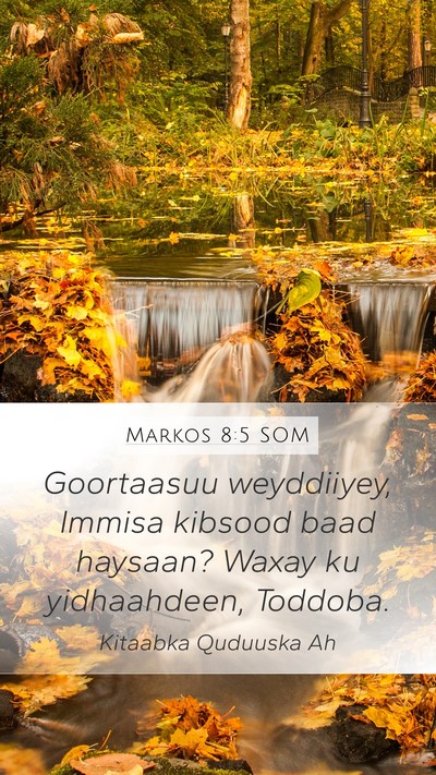 Markos 8:5 SOM Bible Verse Image
