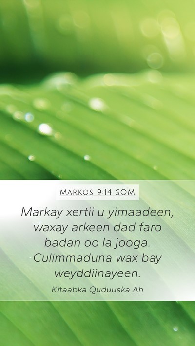 Markos 9:14 SOM Bible Verse Image