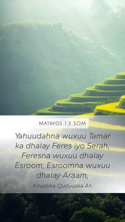 Matayos 1:3 SOM Bible Verse Image