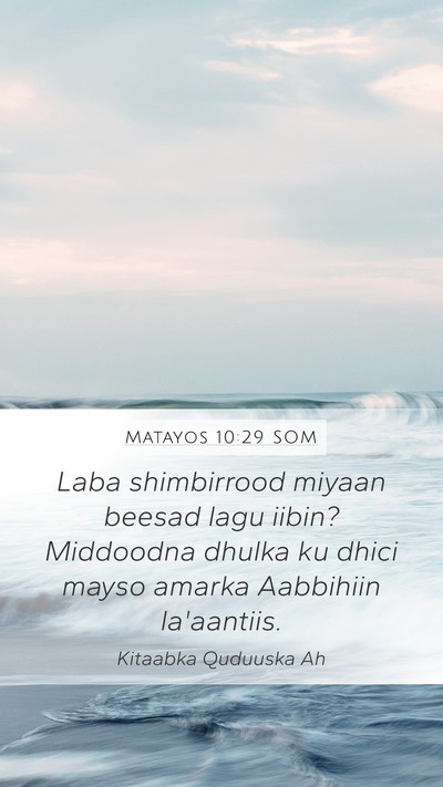 Matayos 10:29 SOM Bible Verse Image