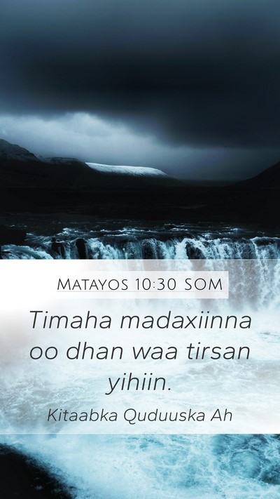 Matayos 10:30 SOM Bible Verse Image