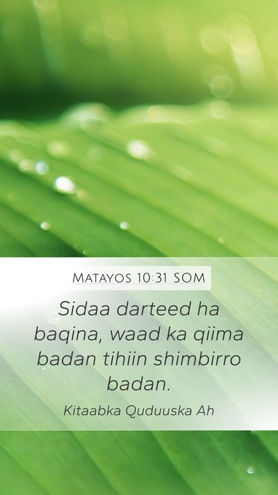 Matayos 10:31 SOM Bible Verse Image