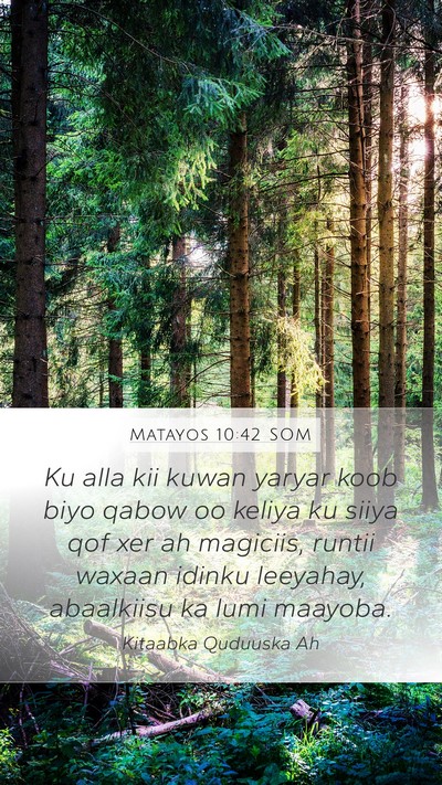Matayos 10:42 SOM Bible Verse Image