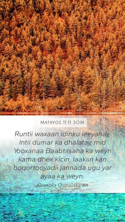 Matayos 11:11 SOM Bible Verse Image
