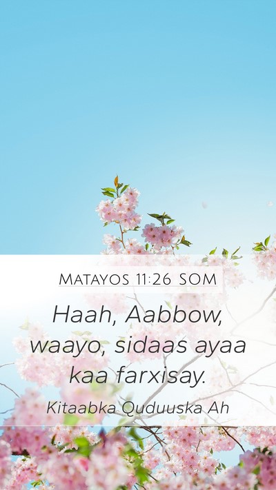 Matayos 11:26 SOM Bible Verse Image