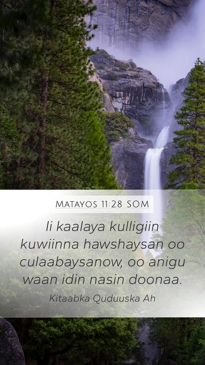 Matayos 11:28 SOM Bible Verse Image