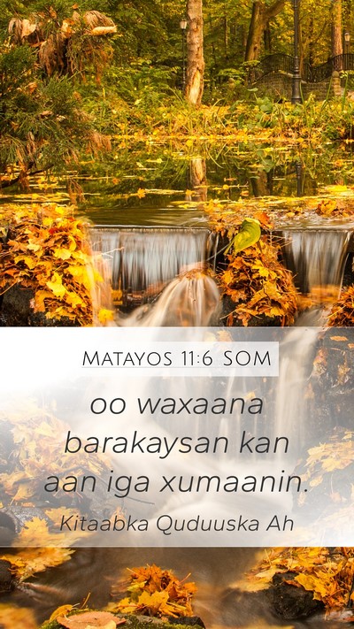 Matayos 11:6 SOM Bible Verse Image