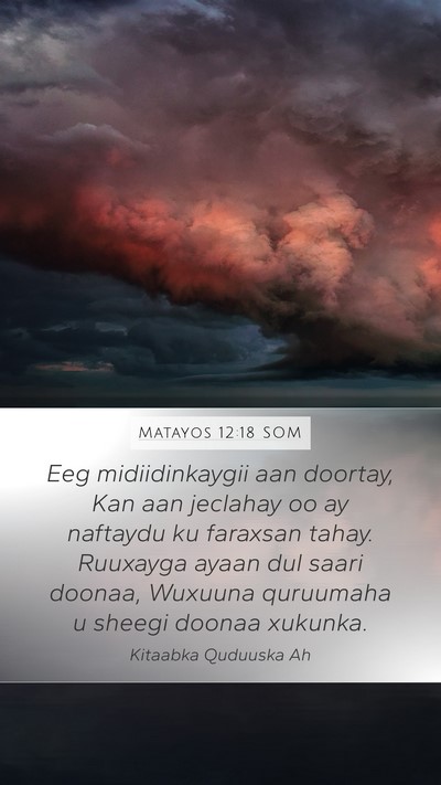 Matayos 12:18 SOM Bible Verse Image