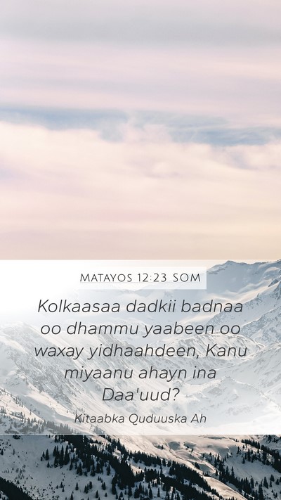 Matayos 12:23 SOM Bible Verse Image