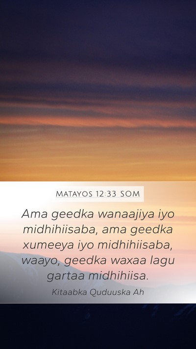 Matayos 12:33 SOM Bible Verse Image
