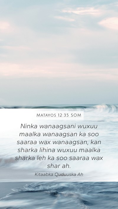 Matayos 12:35 SOM Bible Verse Image