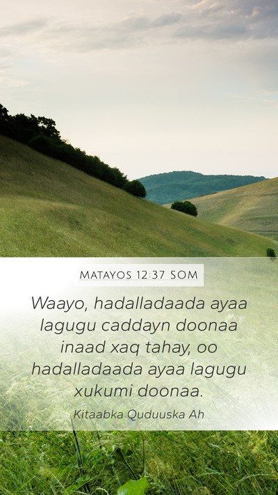 Matayos 12:37 SOM Bible Verse Image
