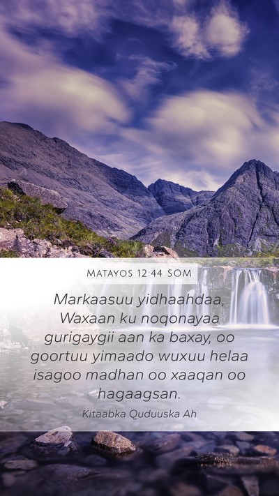 Matayos 12:44 SOM Bible Verse Image