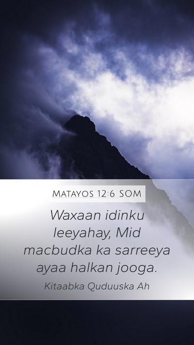Matayos 12:6 SOM Mobile Phone Wallpaper - Waxaan idinku leeyahay, Mid macbudka ka sarreeya - Mobile Bible Verse Wallpaper