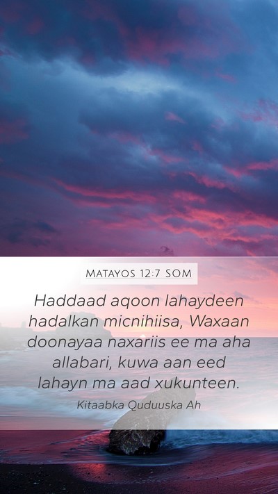 Matayos 12:7 SOM Bible Verse Image
