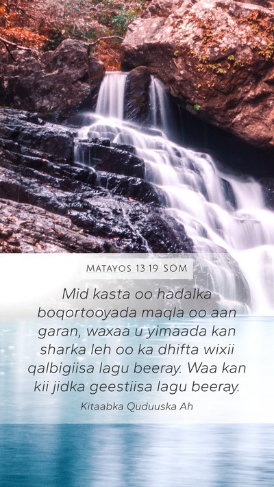 Matayos 13:19 SOM Bible Verse Image