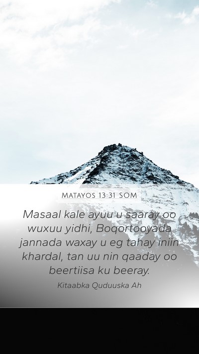 Matayos 13:31 SOM Bible Verse Image