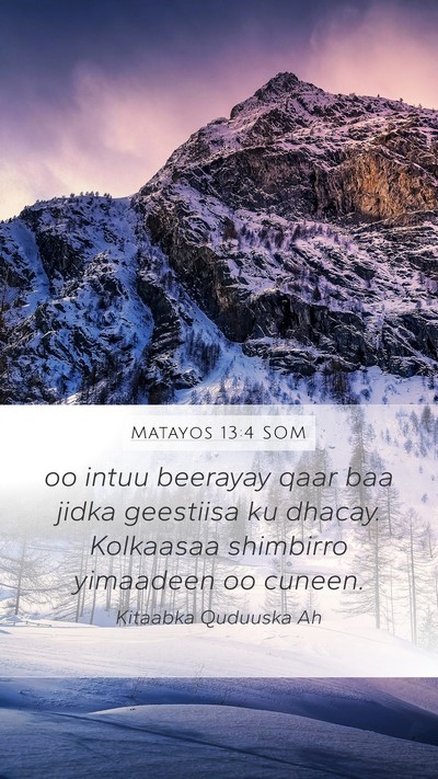 Matayos 13:4 SOM Bible Verse Image