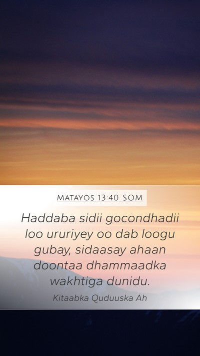 Matayos 13:40 SOM Bible Verse Image