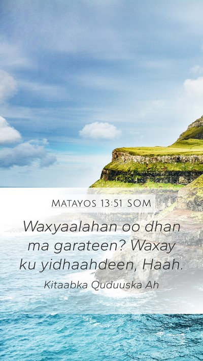 Matayos 13:51 SOM Bible Verse Image